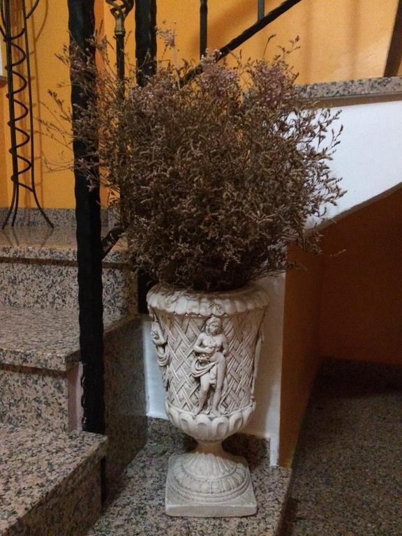 Apartments Niko سكرادين المظهر الخارجي الصورة